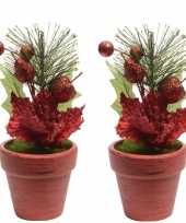 2x kerststerren rood fluweel in potje 16 cm kerstversiering